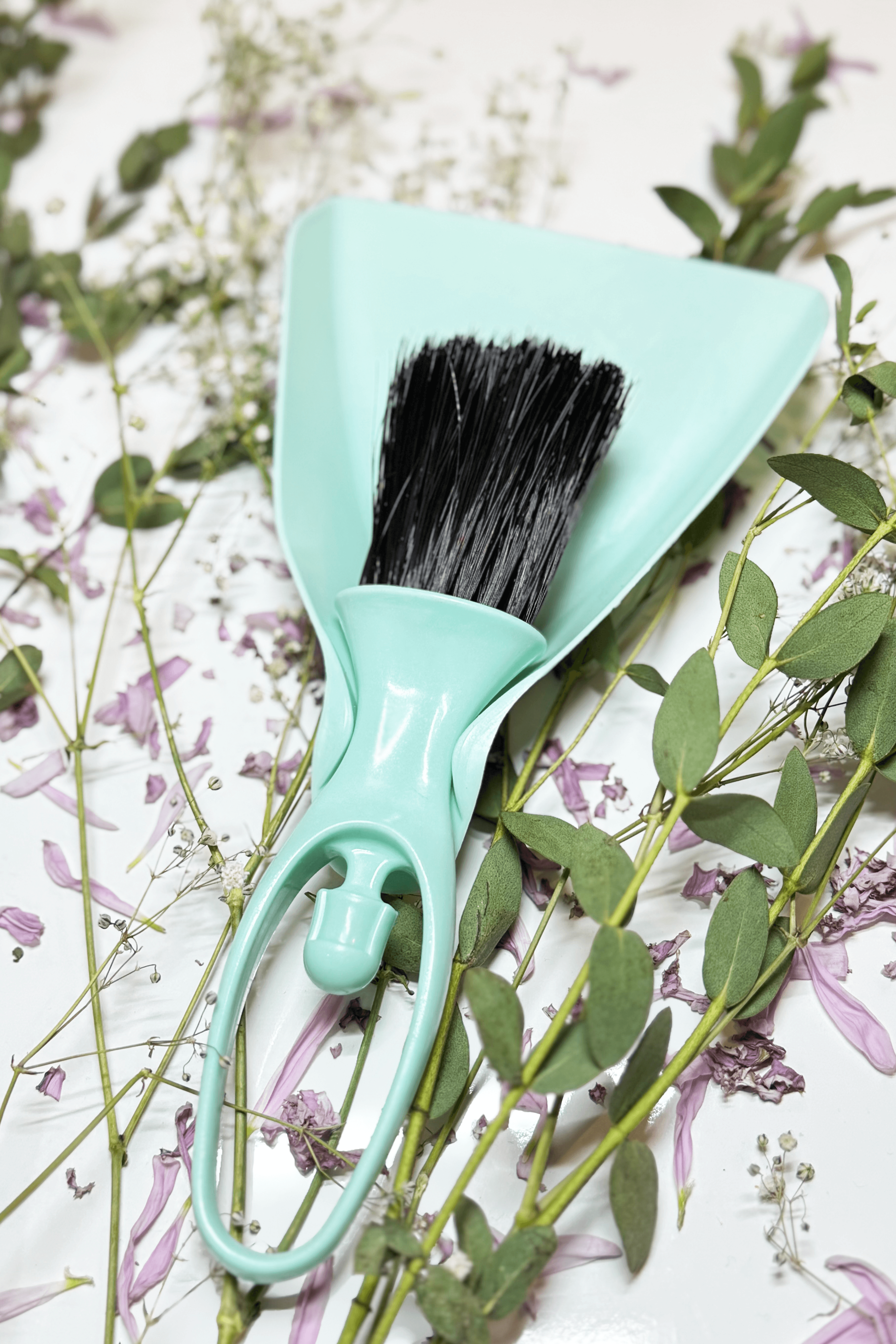 Mini Dustpan Set