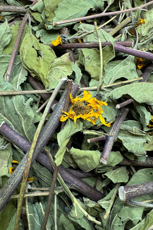 Jerusalem Artichoke organic and forage, a natural treat for small animals. Moony Paw