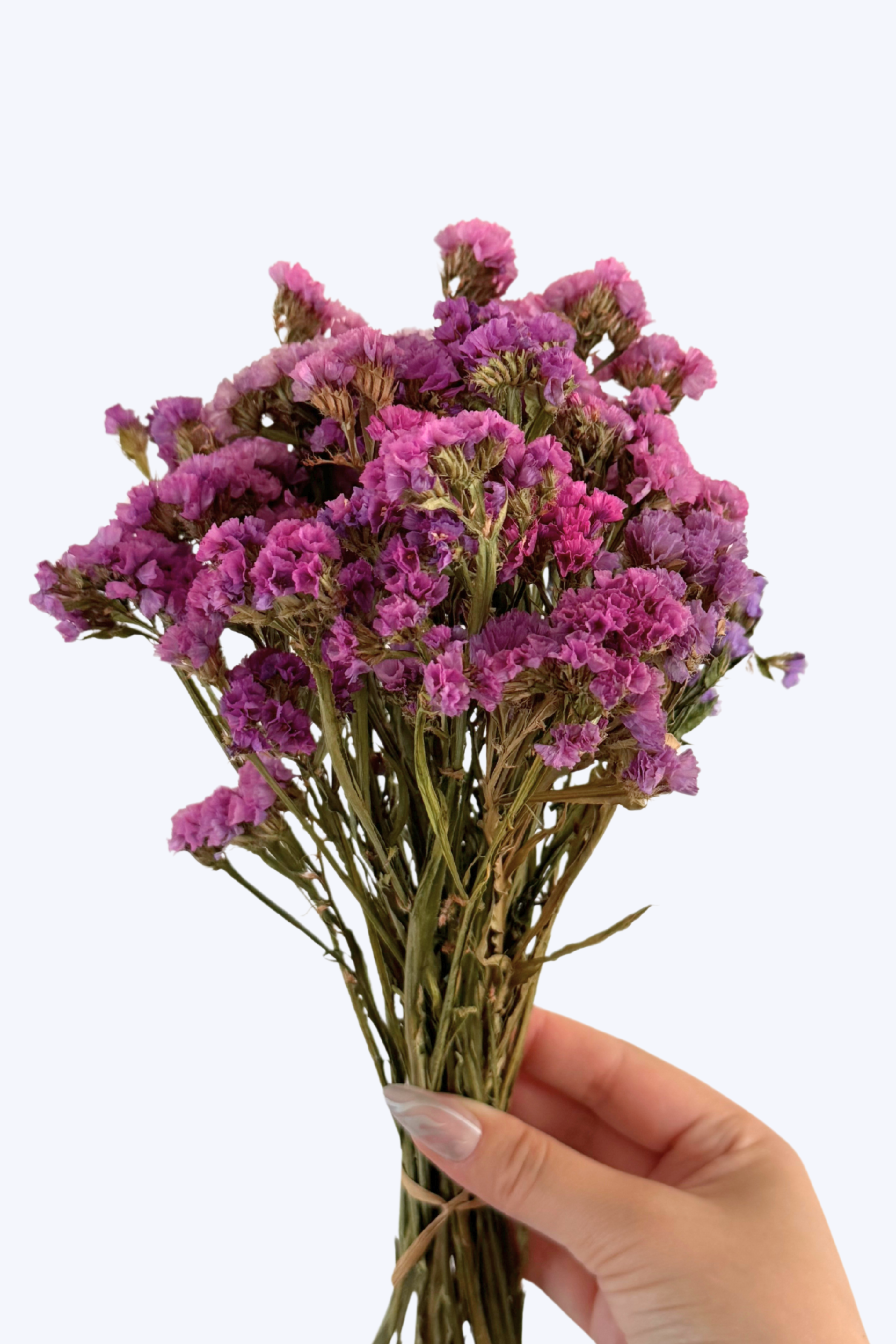 Bouquet of pink flowers held by a hand against a white background