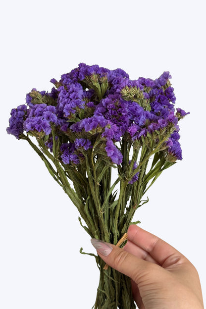 Hand holding a bunch of purple flowers against a white background