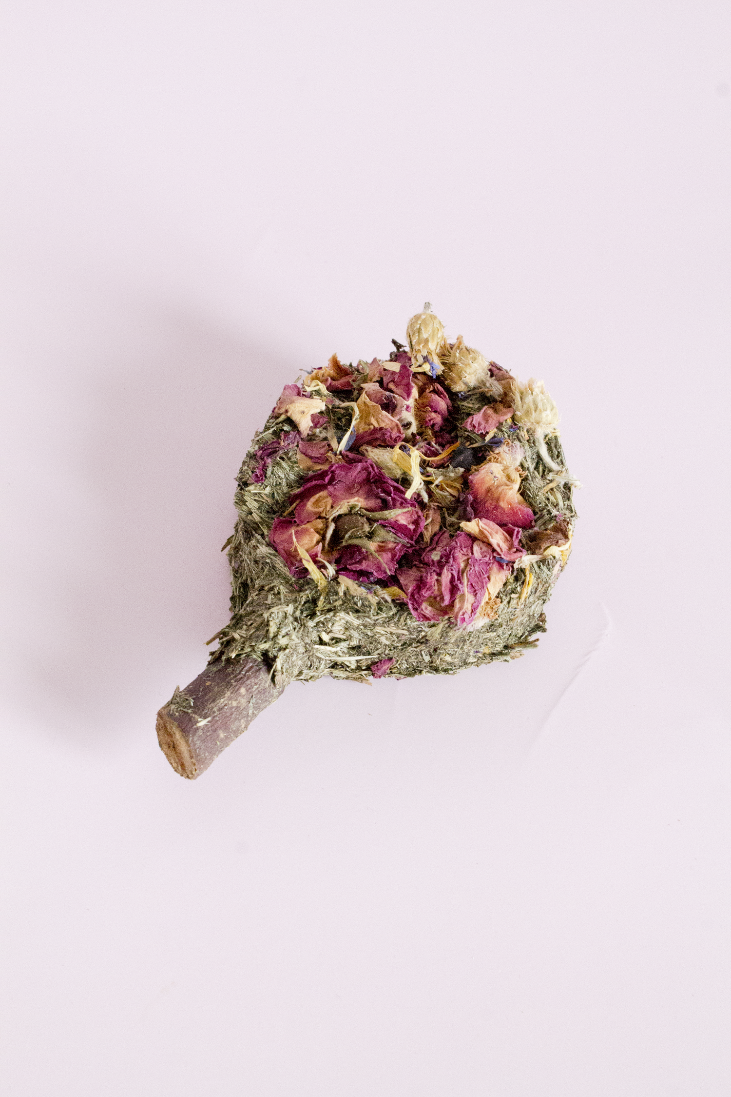 Dried flowers and leaves on a light pink background