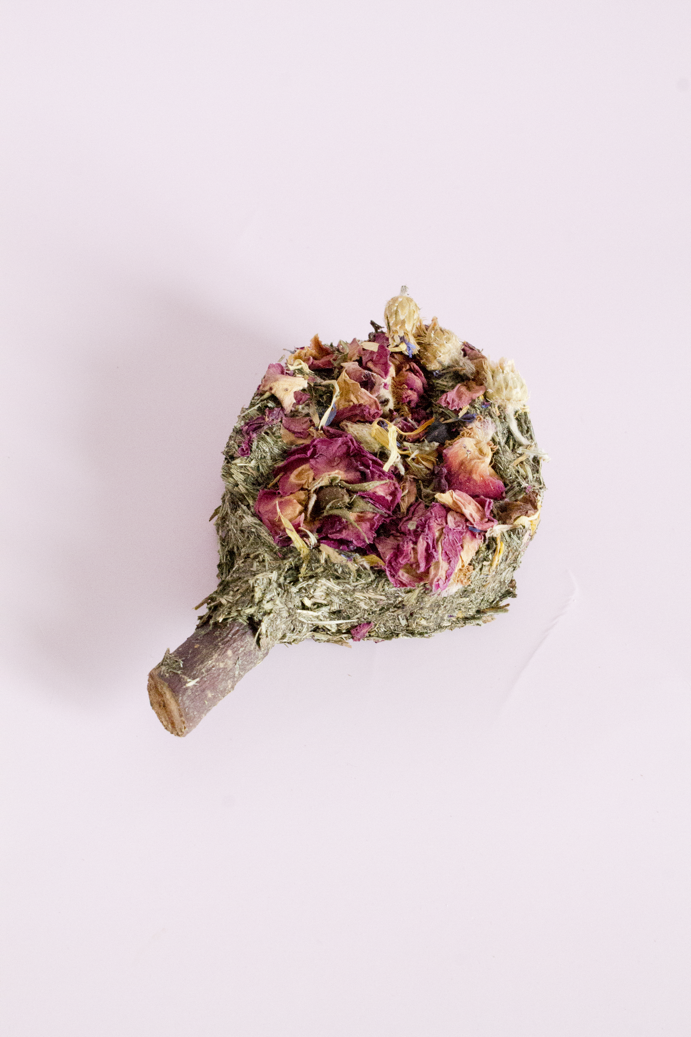 Dried flowers and leaves on a light pink background