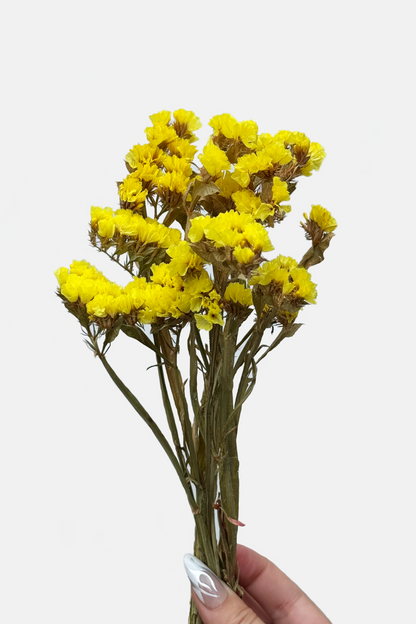 Organic Yellow Statice Flowers