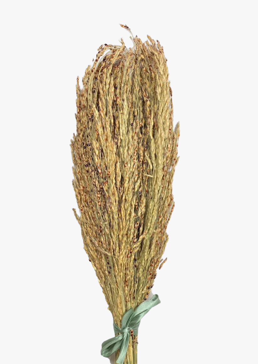 Organic Summer Dried Spray Bundle for small animals, hamsters, mice, rats, gerbils. Flax, amaranth, red sorghum, delicha, oat. Cage decoration. stems bunch, hamsters cage decoration. Boredom breaker, enrichment for hamsters. Forage for small animals. Supplementary feed. Dried delicha grass. Moony Paw