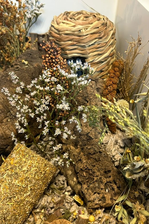 Decorative setup with a woven basket, rocks, and flowers on a white background