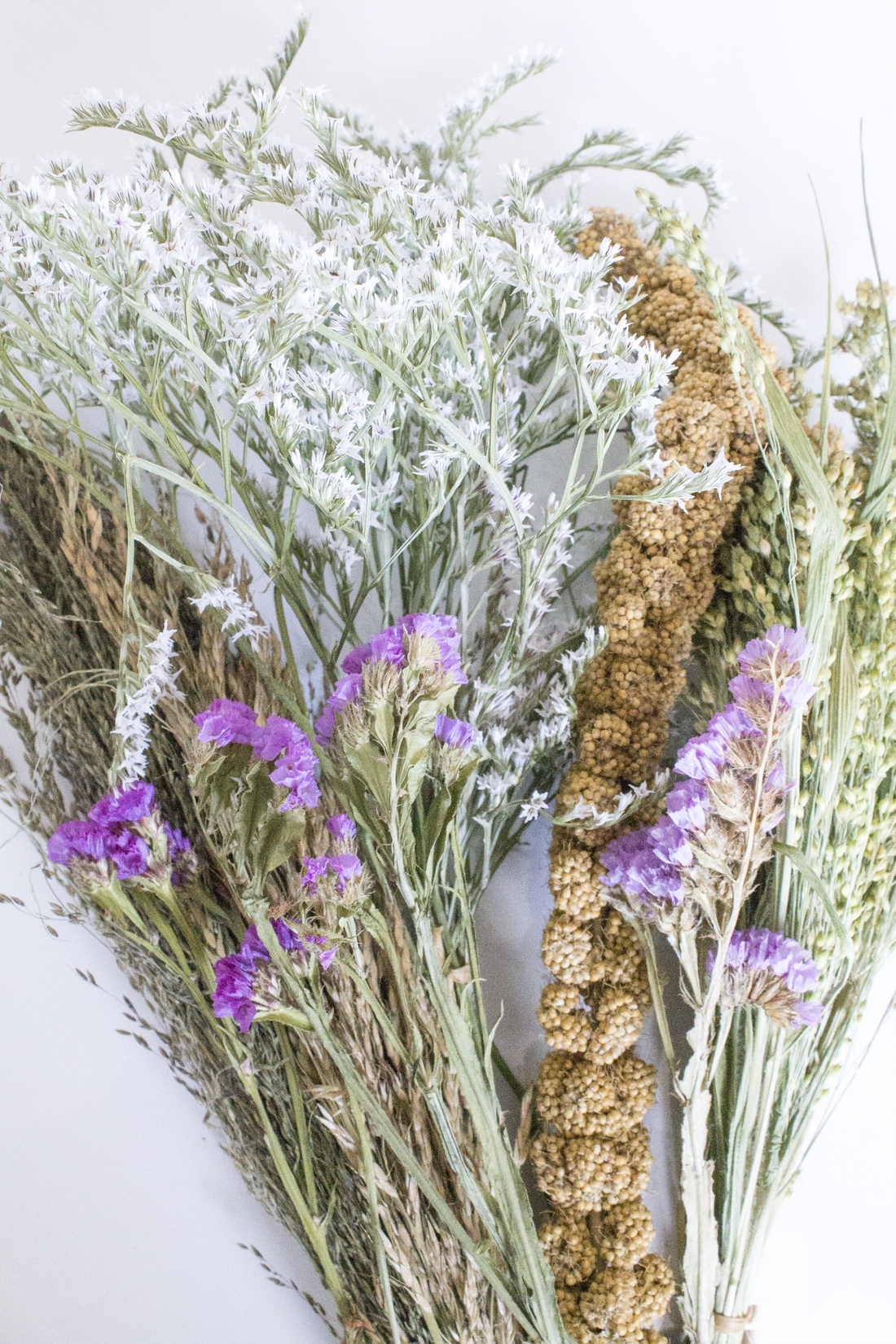 Wild Harvest Sprays Mix