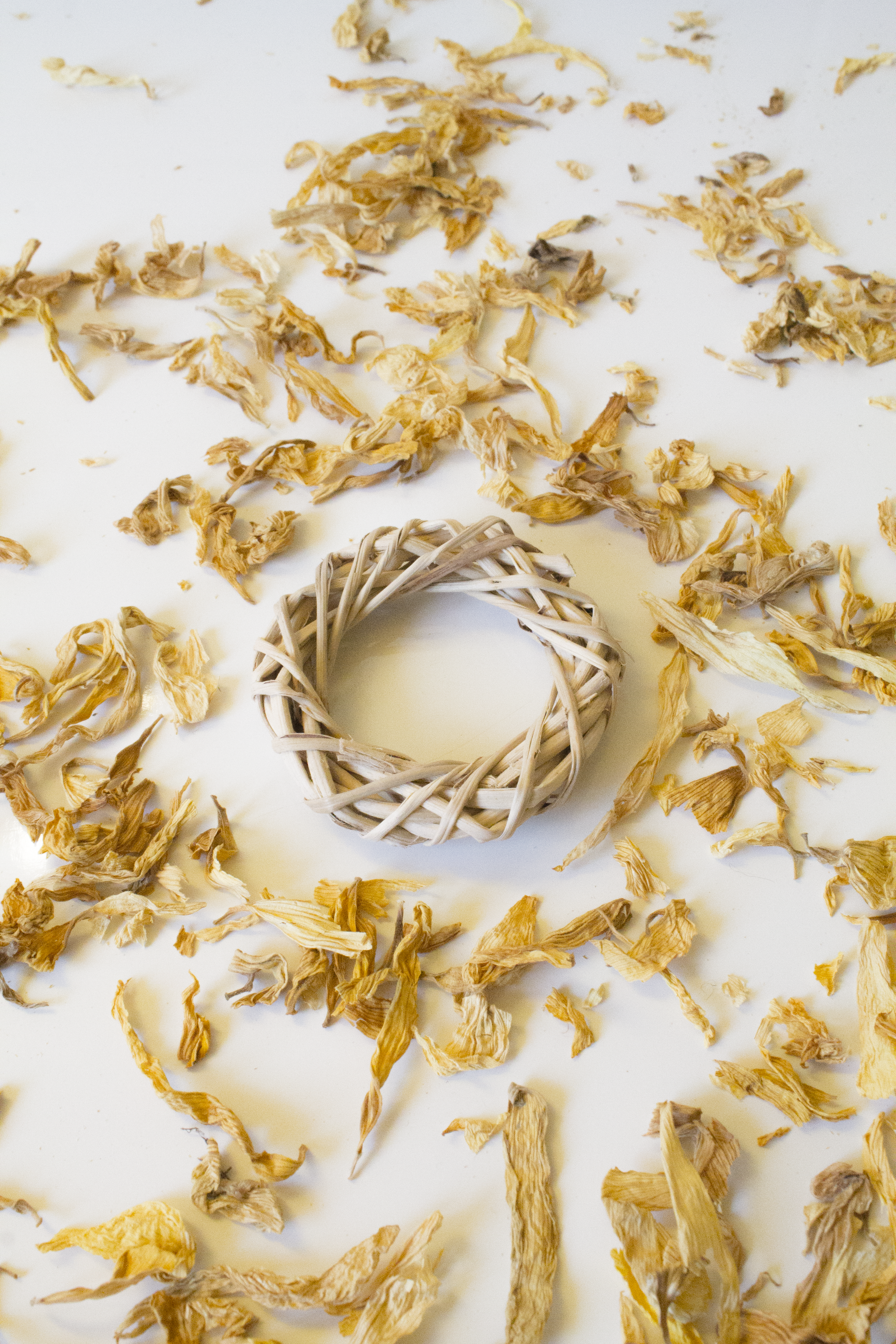 Wicker ring with dried yellow flowers on a white background