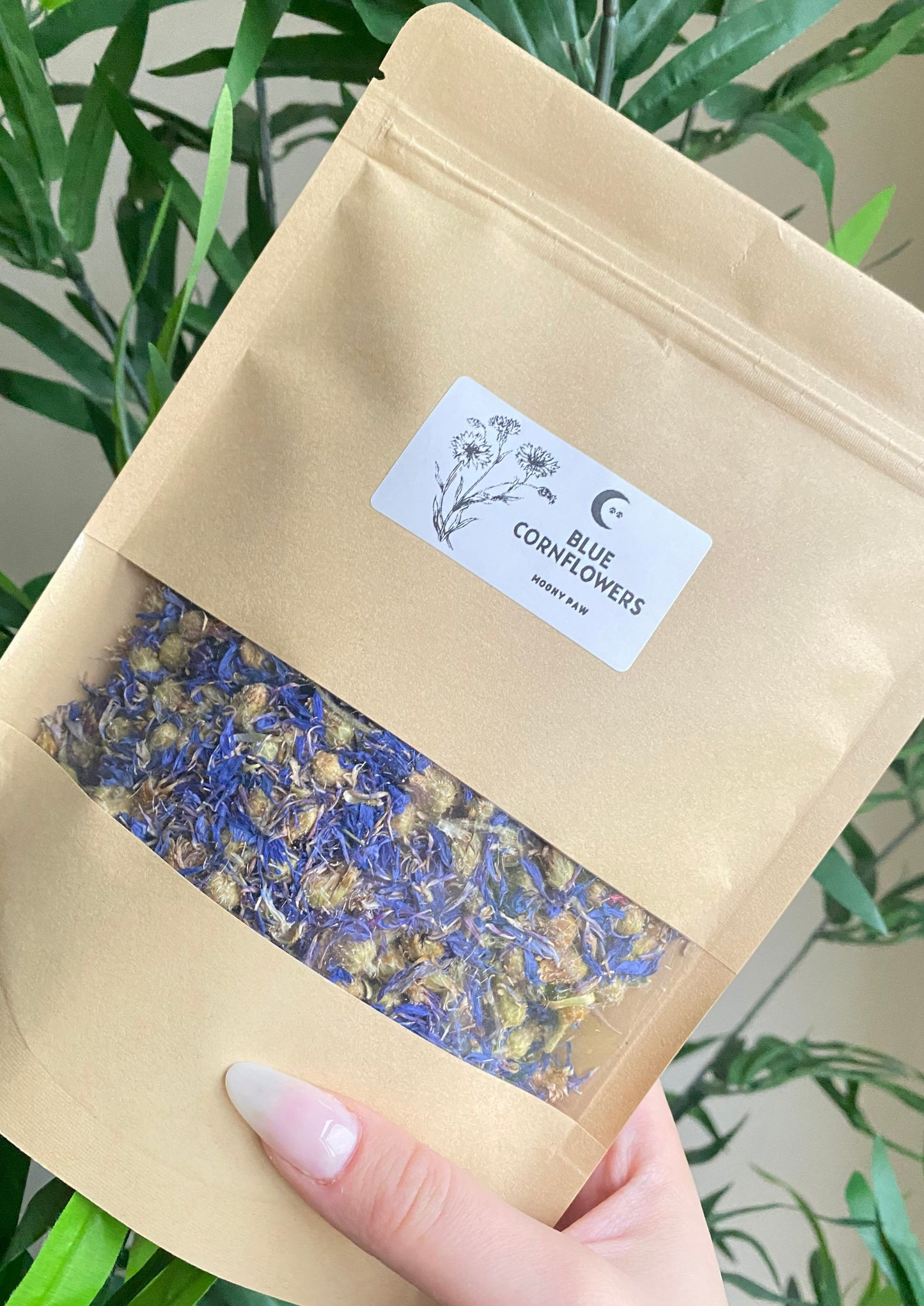 Moony Paw Organic Dried Blue Cornflower Blossoms – whole flowers for hamsters, guinea pigs, small animals, and reptiles.