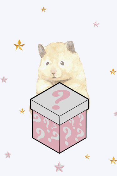 Moony Paw Hamster Mystery Box – ultimate surprise goodie box with treats, premium chews, and delightful dried sprays. 