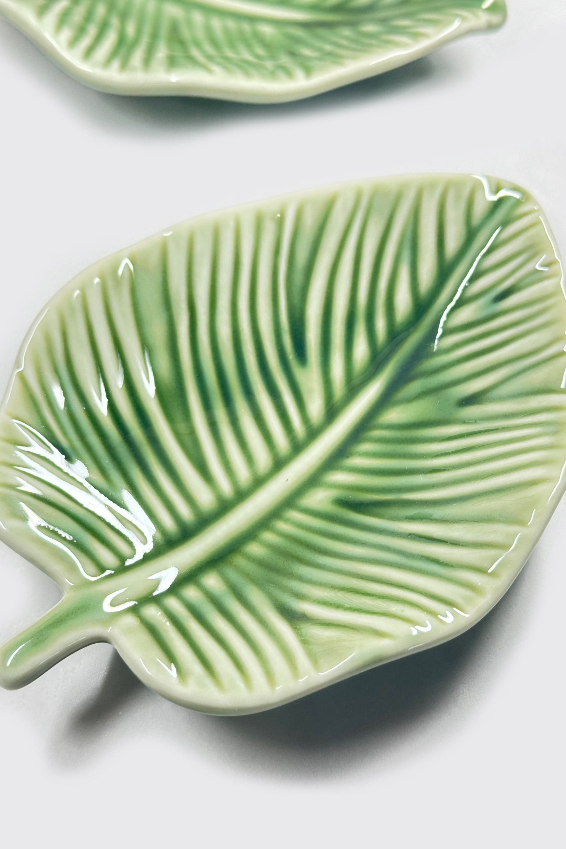 Moony Paw Leaf-Shaped Plate – for small animals, encourages natural feeding behaviors.