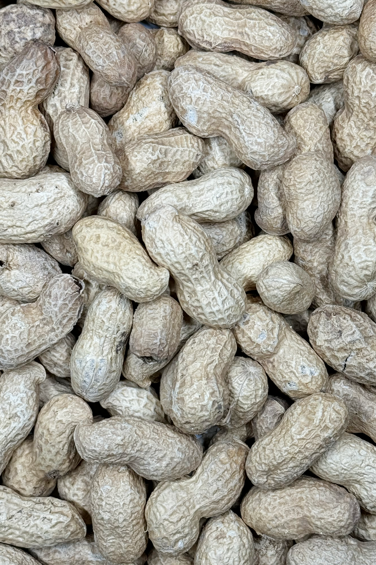 Moony Paw Peanuts in Shell – tasty and nutritious treat for hamsters, rats, and gerbils. Promotes dental health. 