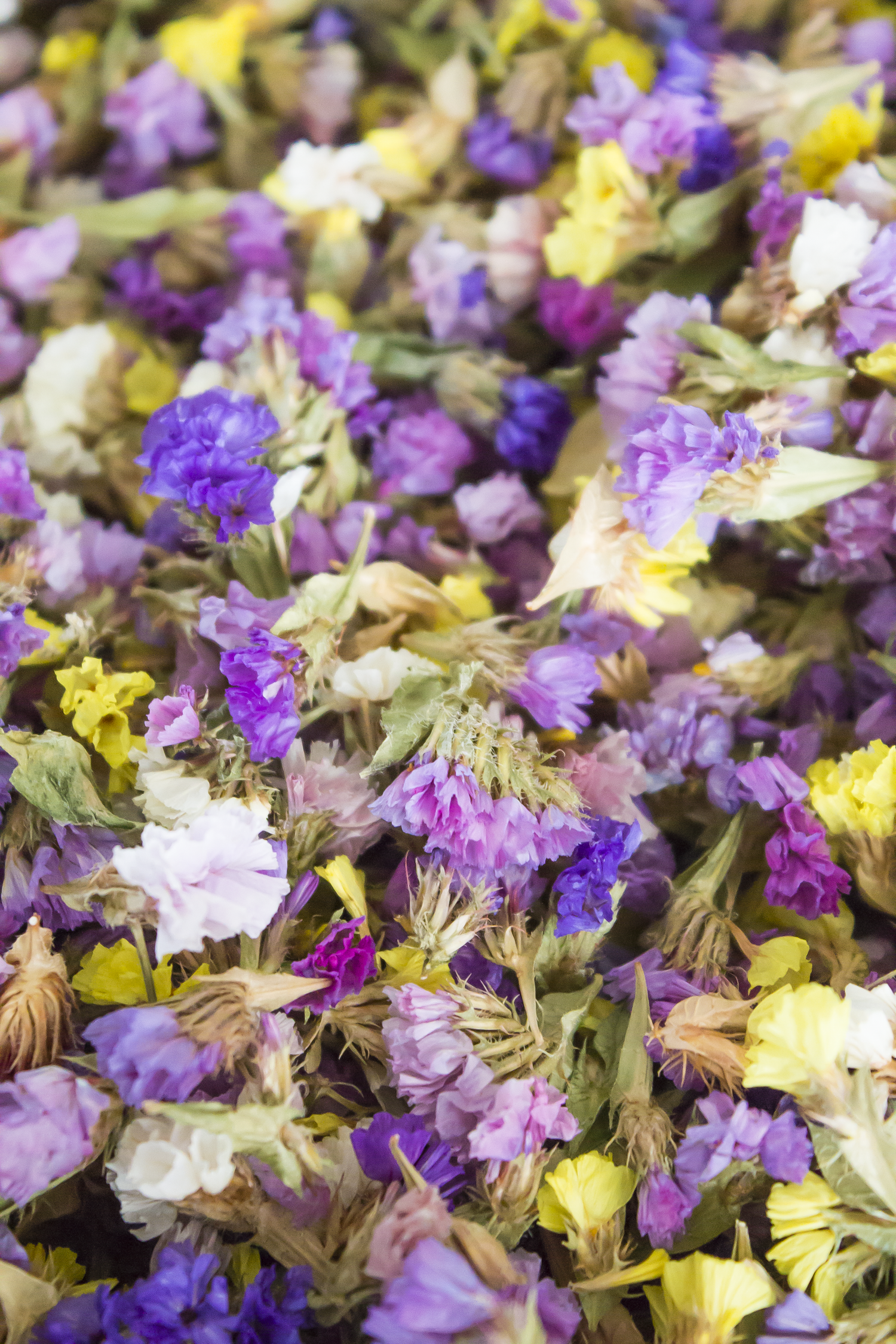 Dried Statice Petals